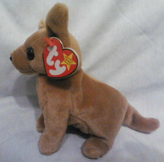 Tiny the Chihuahua Vintage Ty Beanie Baby with Rare Hang Tag Error
