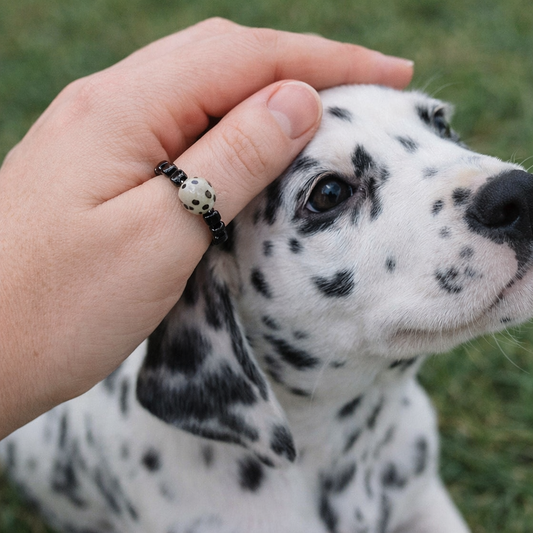 Midnight Rover – Black Spinel & Dalmatian Jasper Stretch Ring (Sizes 7.5 - 10.5)