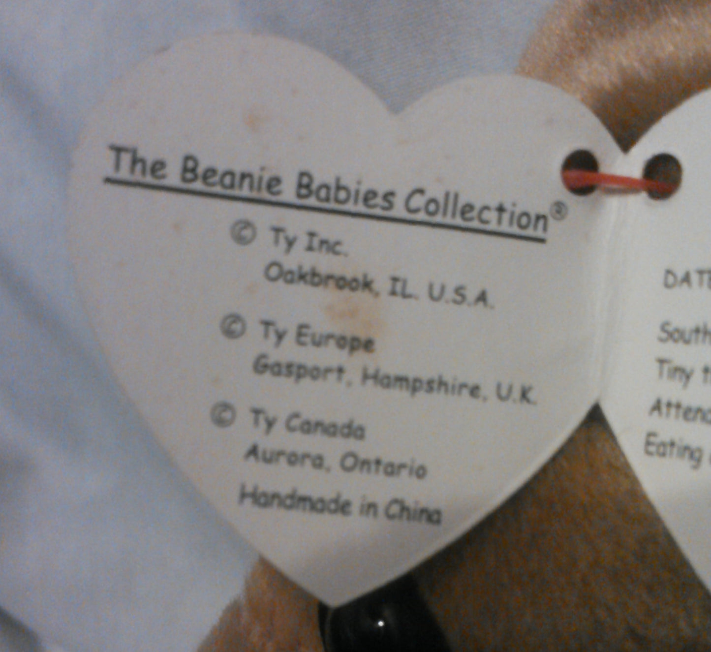 Tiny the Chihuahua Vintage Ty Beanie Baby with Rare Hang Tag Error