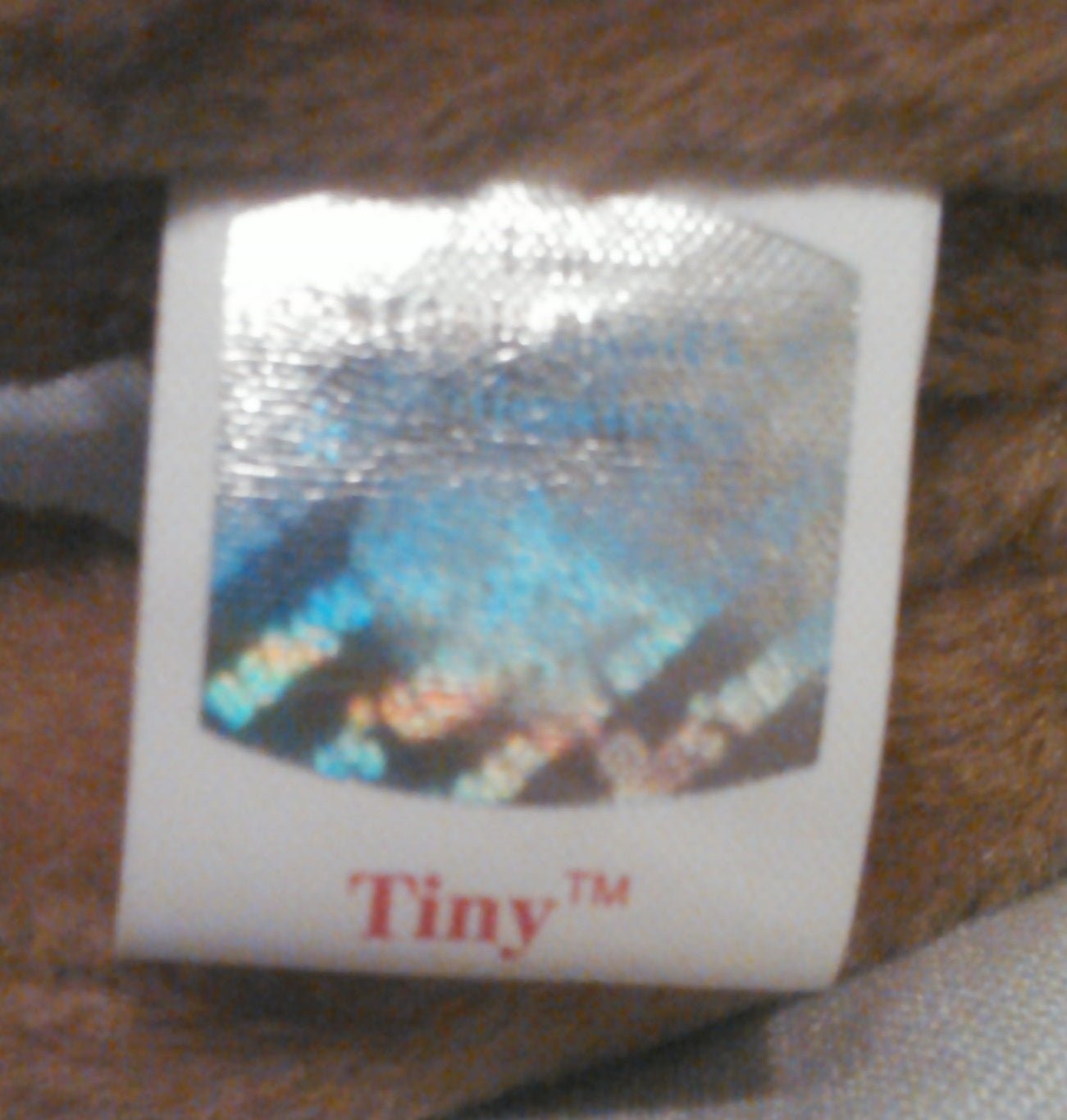 Tiny the Chihuahua Vintage Ty Beanie Baby with Rare Hang Tag Error